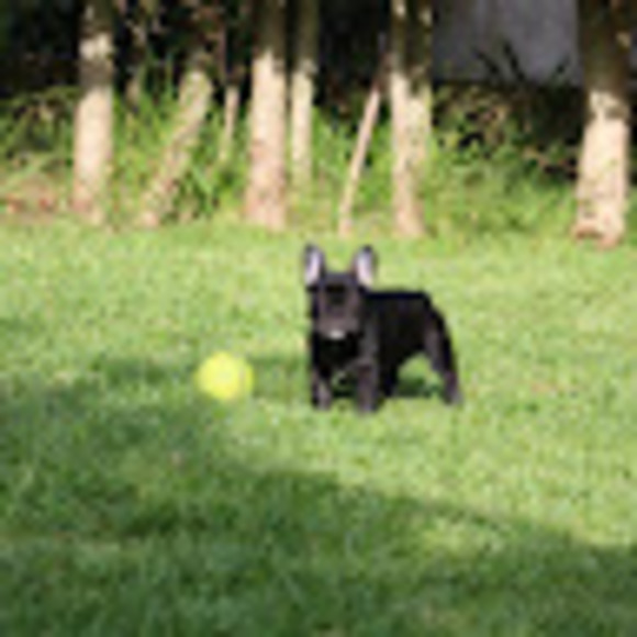 Meet your Posher, Liliana - Picture 1 of 1